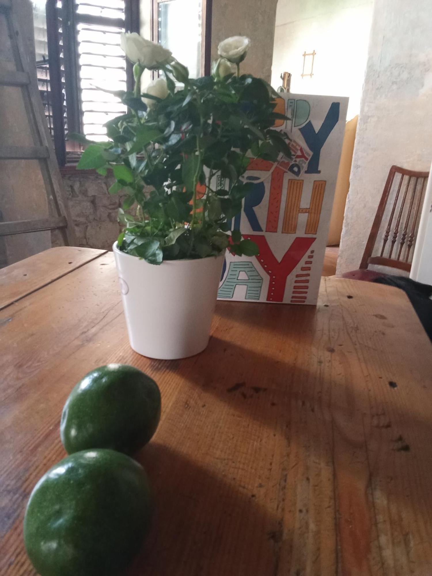 Apartment Sibenik Johnny'S Place 외부 사진